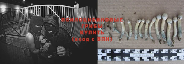 марки lsd Алексеевка