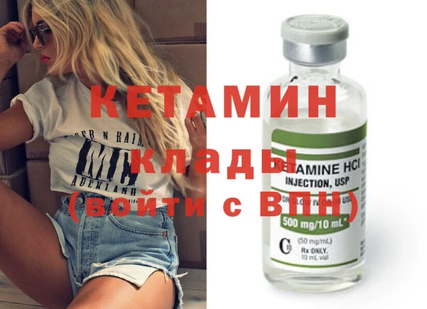 индика Алексин