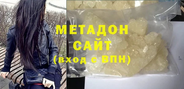 индика Алексин