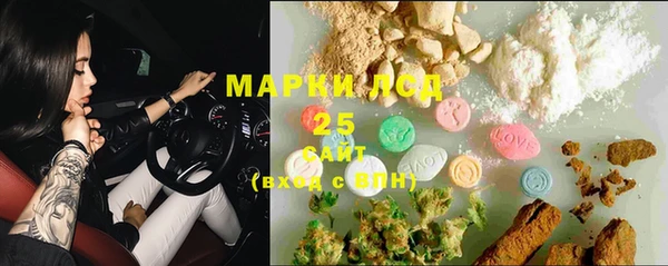 прущий лед Алзамай