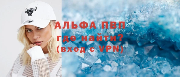 индика Алексин
