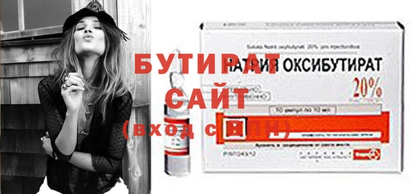 индика Алексин